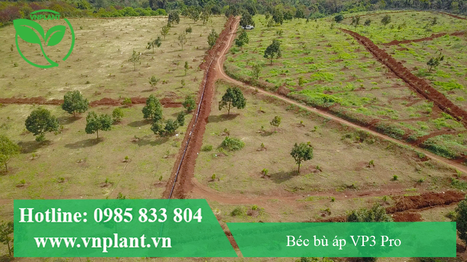 béc bù áp vp3 pro