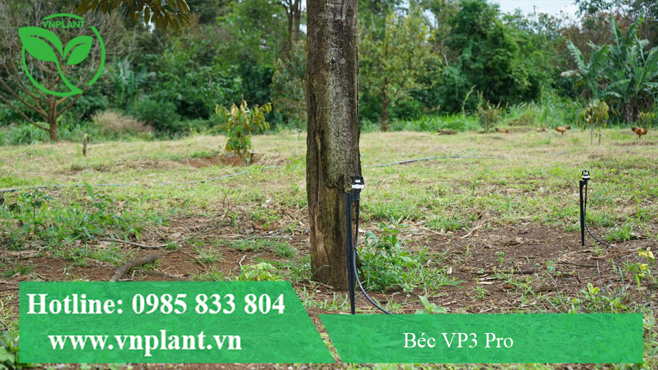 béc bù áp vp3 pro