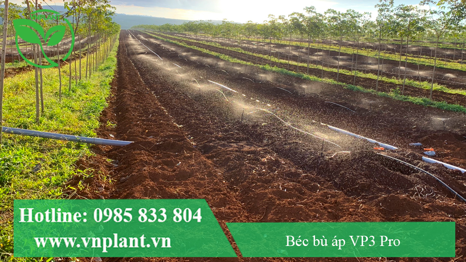 béc bù áp vp3 tưới hàng dài 800m