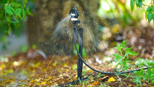 BÉC TƯỚI CÂY PHUN MƯA TRONG LĨNH VỰC NÔNG NGHIỆP