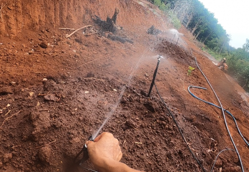 Lượng Nước Tưới Cho Cây  Sầu Riêng Cách   