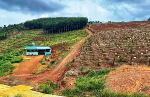 BÉC BÙ ÁP TƯỚI CHO SẦU RIÊNG ĐỒI DỐC TẠI ĐĂK-NÔNG 