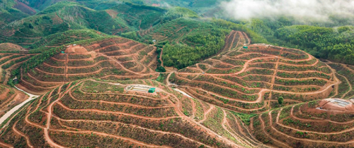 BÉC TƯỚI PHUN MƯA CHO CÂY SẦU RIÊNG TRÊN ĐỊA HÌNH DỐC TẠI ĐĂK LĂK