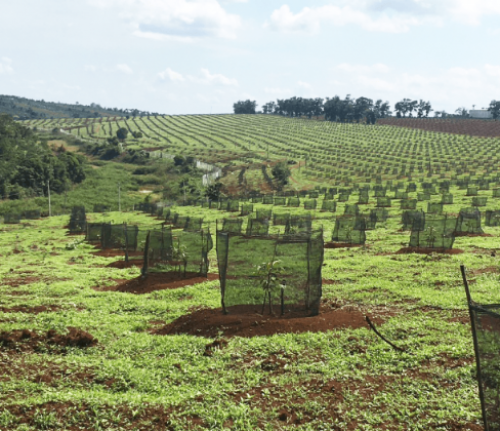 béc tưới giá rẻ tại bình phước