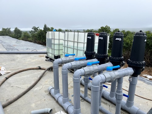 LẮP ĐẶT HỆ THỐNG TƯỚI TỰ ĐỘNG CHO VƯỜN SẦU RIÊNG  TẠI CẦN THƠ