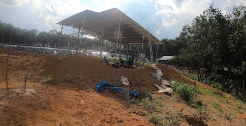 Hướng dẫn lắp đặt hệ thống tưới sầu riêng trên đất dốc hiệu quả