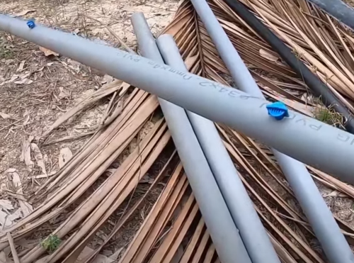 Cách Nâng Cấp Hệ Thống Tưới Sầu Riêng Cũ Thành Mới