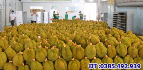  BÉC TƯỚI CÂY GIÁ RẺ Ở HUYỆN CHÂU THÀNH TÂY NINH