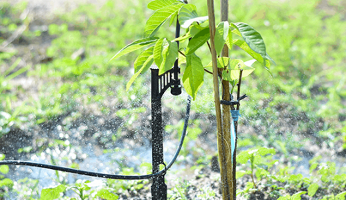 DỊCH VỤ LẮP ĐẶT HỆ THỐNG TƯỚI CÀ PHÊ TẠI  ĐẮK NÔNG