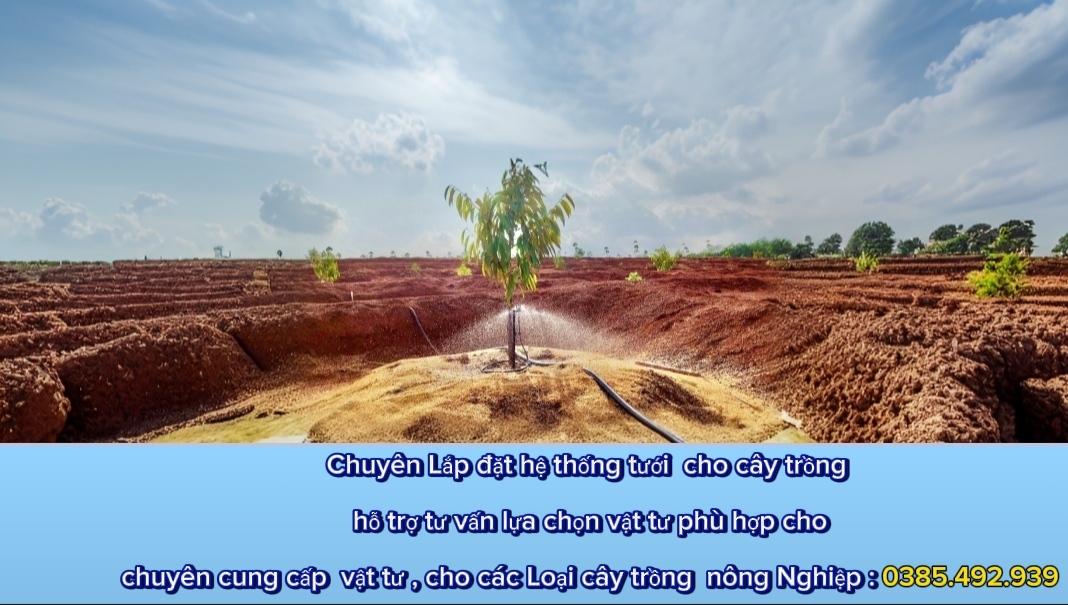 béc-tưới - giá - rẻ -tại -hồ - chí - minh