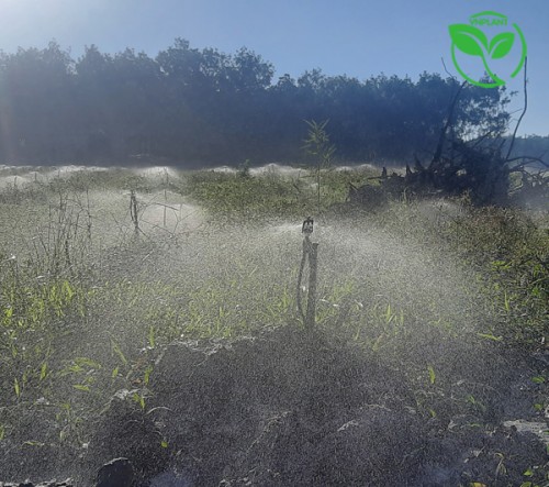          BÉC TƯỚI CÂY XOAY 360 ĐỘ: SỨC MẠNH PHUN MƯA ĐA HƯỚNG  