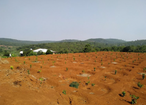 BÉC TƯỚI CÂY GIÁ RẺ TẠI  HUYỆN KRÔNG PẮK ĐẮK LẮK