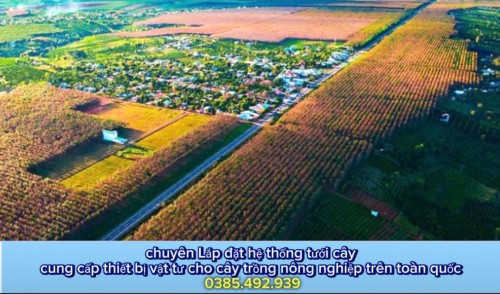 LƯỢNG NƯỚC CẦN THIẾT CHO CÂY SẦU RIÊNG TẠI KHU VỰC TÂY NGUYÊN