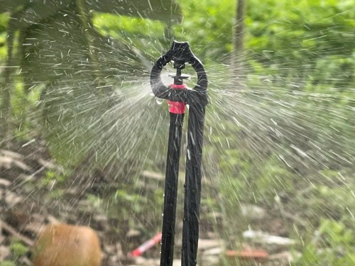 Giá béc tưới phun mưa cho sầu Riêng mới nhất 