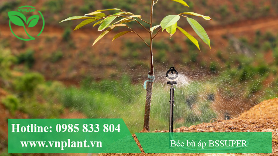 béc bù áp bssuper tưới bán kính hình nón