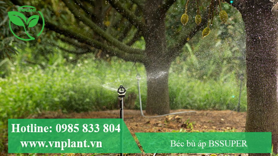 béc bù áp bssuper tưới bán kính rộng