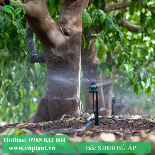 BÉC BÙ ÁP S2000
