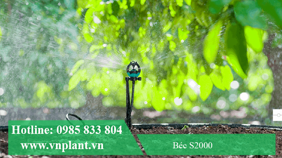 béc bù áp s2000 cho bán kính rộng đến 3.5m khi cây lớn