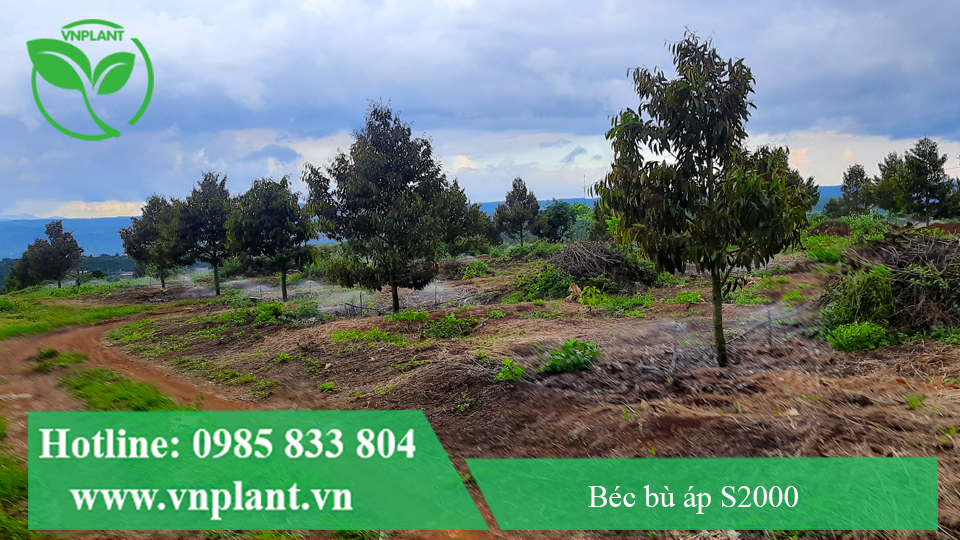 béc bù áp S2000