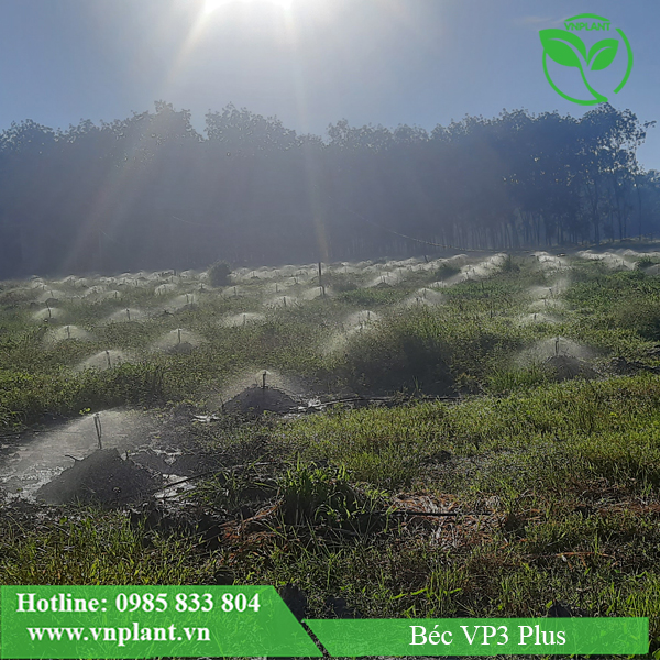 Béc VP3 Plus taọ sự đồng đều gần như tuyệt đối giữa các bé