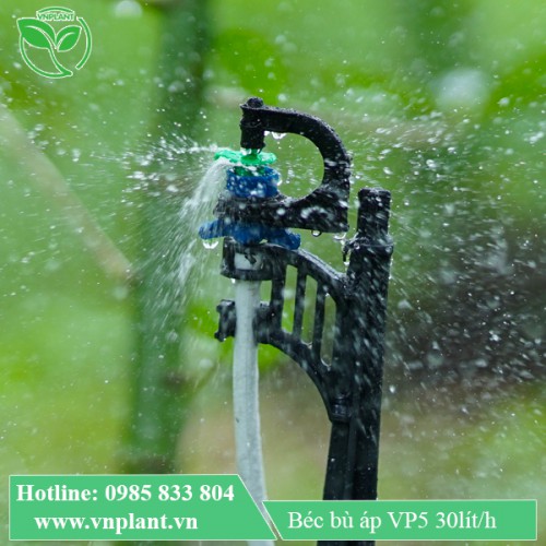 BÉC TƯỚI CÂY TẠI GỐC VP5 30LÍT