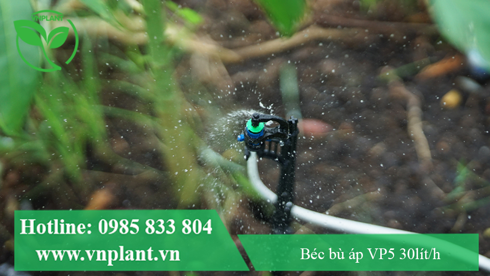 BÉC TƯỚI GỐC VP5 30LÍT