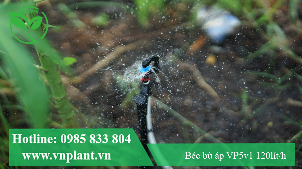 BÉC TƯỚI GỐC VP5V1 120 LÍT