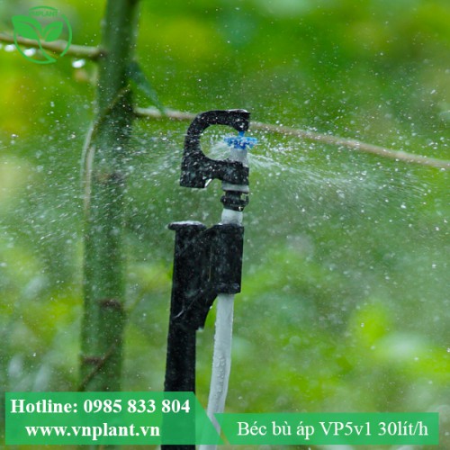 BÉC TƯỚI GỐC VP5v1 30lít