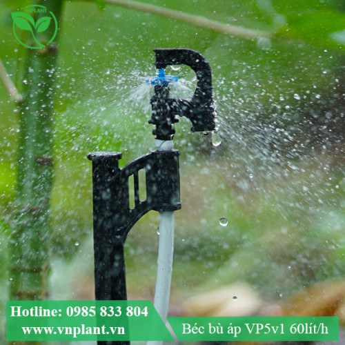 BÉC TƯỚI GỐC VP5v1 60lit
