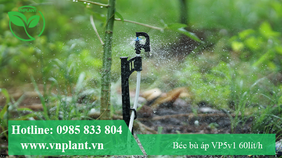béc tưới gốc vp5v1 60lit