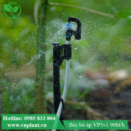 BÉC TƯỚI GỐC VP5v1 90lit