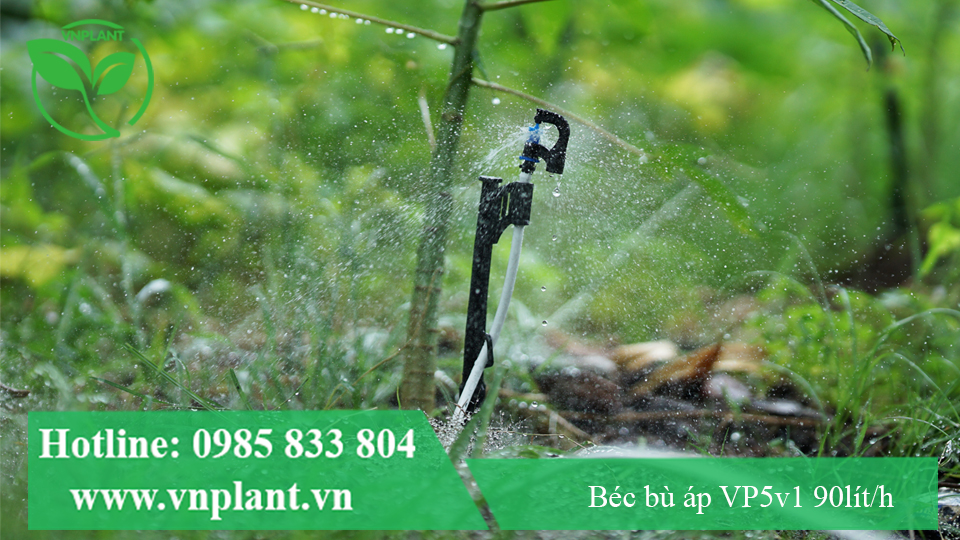 BÉC TƯỚI GỐC VP5V1 90LÍT