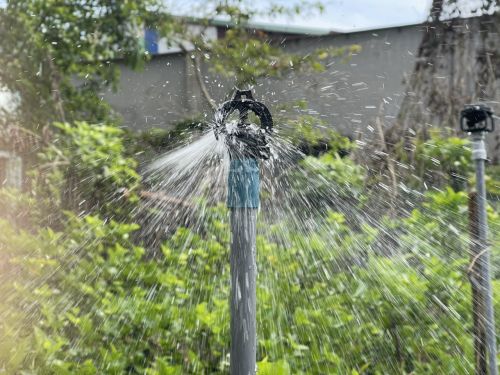 Các Loại Béc Tưới  sầu Riêng Phổ Biến Trong Nông Nghiệ