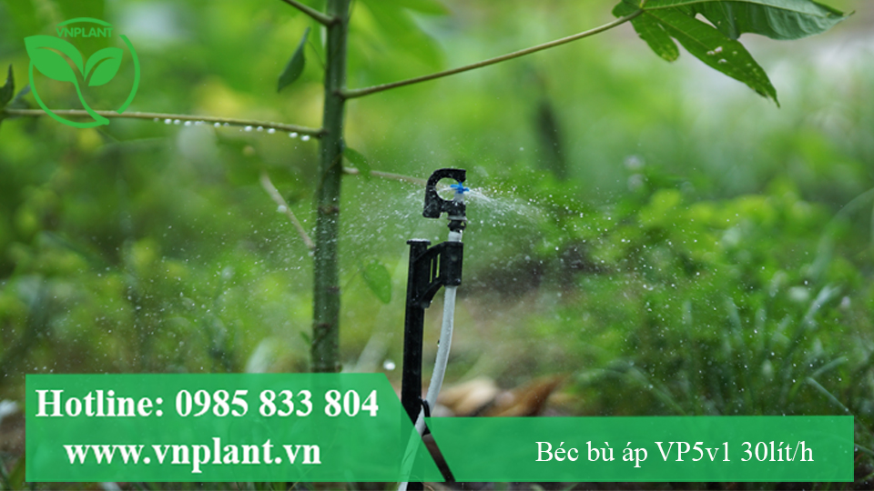 béc tưới gốc vp5v1 30lit