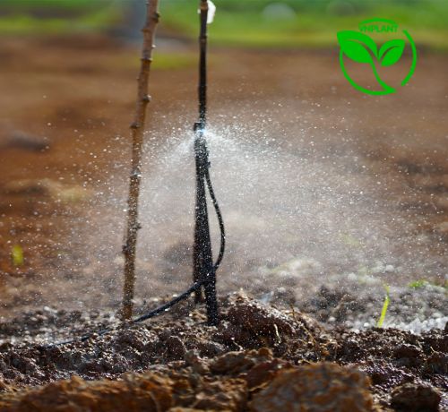 CÁC LOẠI BÉC TƯỚI CÂY PHUN MƯA PHỔ BIẾN TRONG NÔNG NGHIỆP NĂM 2024