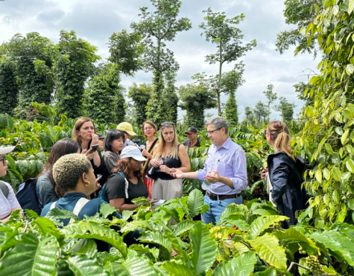 Lựa Chọn Vật Tư Tưới Cà Phê Hướng Dẫn Từ Chuyên Gia