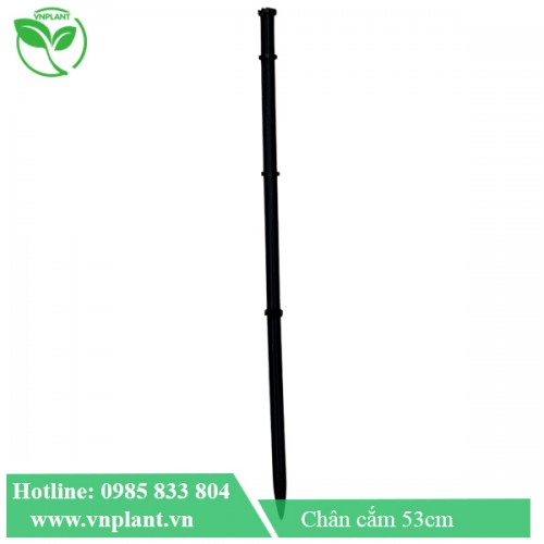 CHÂN CẮM BÉC 53CM