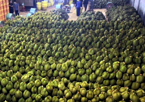 Những bí quyết tiết kiệm chi phí lắp đặt hệ thống tưới tự động