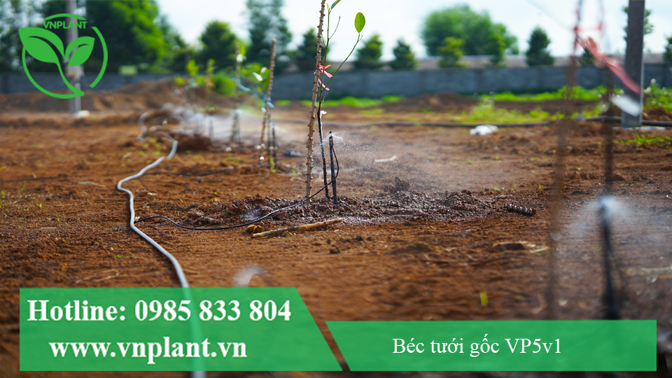 Cơ chế phun hình nón tích hợp trên béc VP5v1