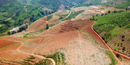 Hệ Thống Tưới phun  Bước Tiến Mới   Đạt Lợi Nhuận Cao Trong Ngành Nông nghiệp 