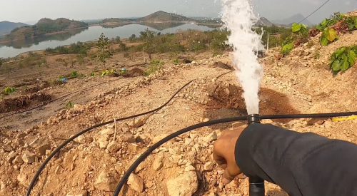 Phương Pháp Cần Chuẩn Bị Để Chăm Sóc Cây Sầu Riêng Vào Mùa Khô Hạn