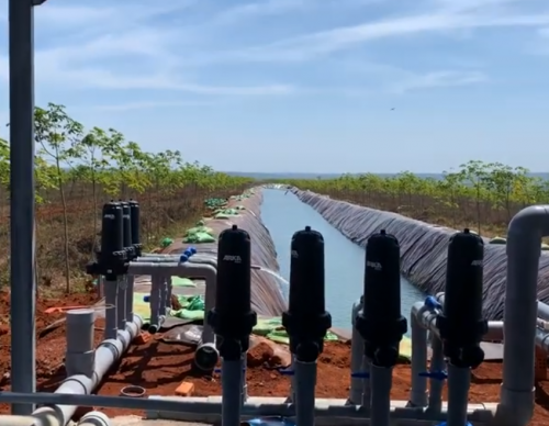 Tư vấn hệ thống tưới sầu riêng