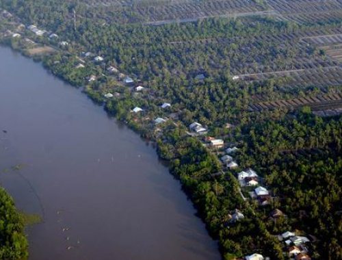 LẮP ĐẶT HỆ THỐNG TƯỚI TỰ ĐỘNG CHO VƯỜN SẦU RIÊNG  TẠI  GÒ QUAO –KIÊN GIANG 