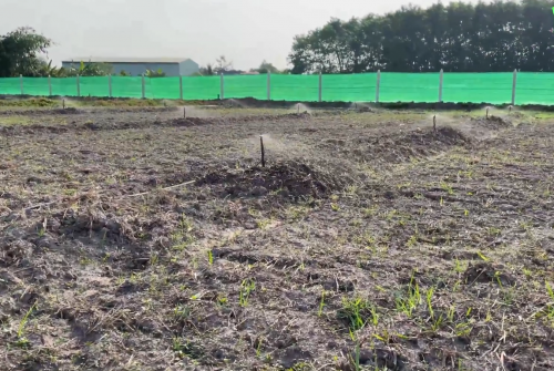  Hướng dẫn lắp đặt hệ thống  Tưới tự động kết hợp châm phân cây dừa