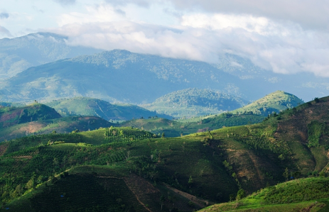 Béc tưới cho cây sầu riêng trên địa hình dốc tại lâm đông