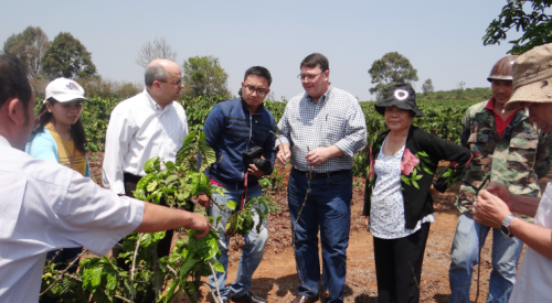 Phương Pháp Và Kỹ Thuật Tăng Hiệu Quả Tưới Tiêu Đối Với Cây Cà Phê 