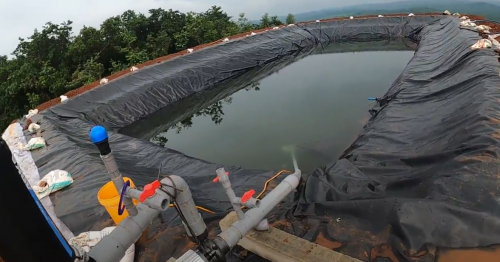 Tư Vấn Lắp Đặt Hệ Thống Tưới Cho Cây Sầu Riêng   