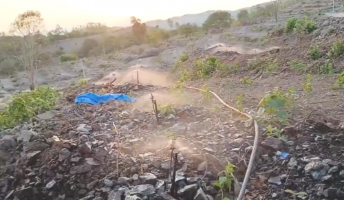 Phương Pháp Tưới Thông Minh Cho Vườn Sầu Riêng   