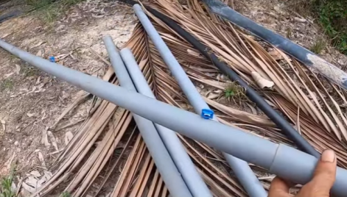 Cách Nâng Cấp Hệ Thống Tưới Cho Sầu Riêng