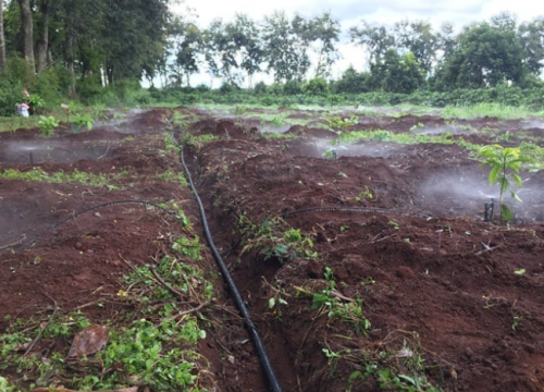 DỊCH VỤ LẮP ĐẶT HỆ THỐNG  TƯỚI  CÀ PHÊ TẠI ĐĂK-LĂK